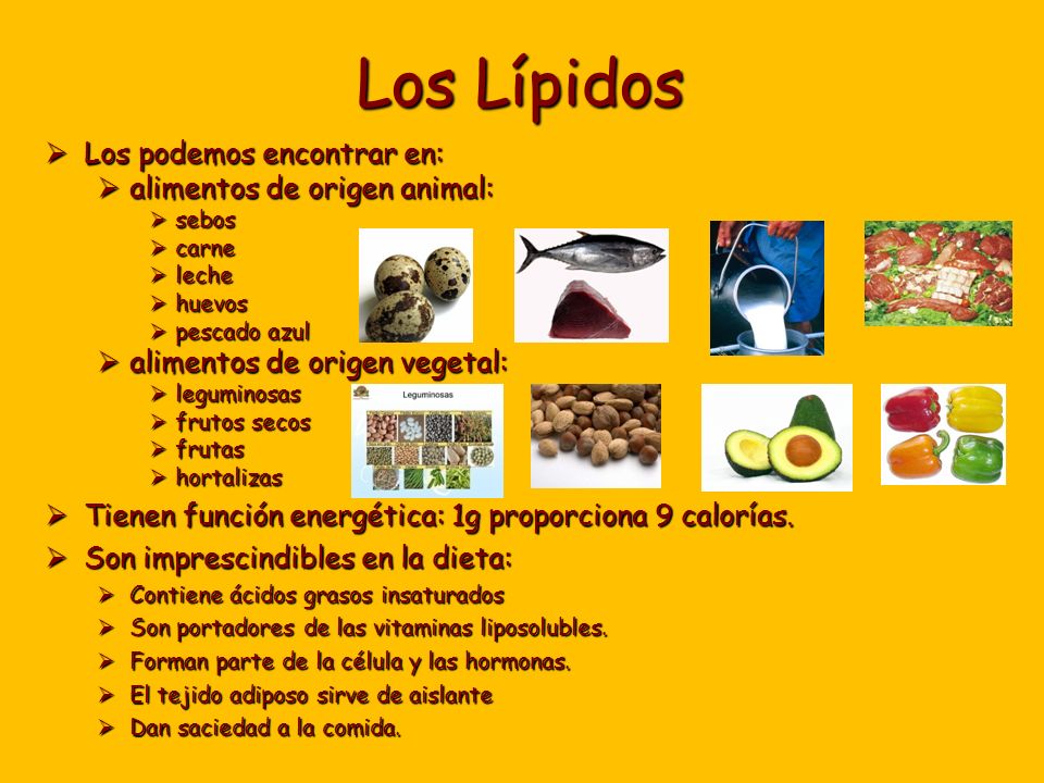 que alimentos tienen lipidos que alimentos tienen lipidos